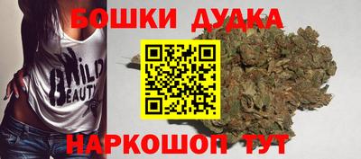 МДПВ Славгород