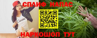 МДПВ Славгород