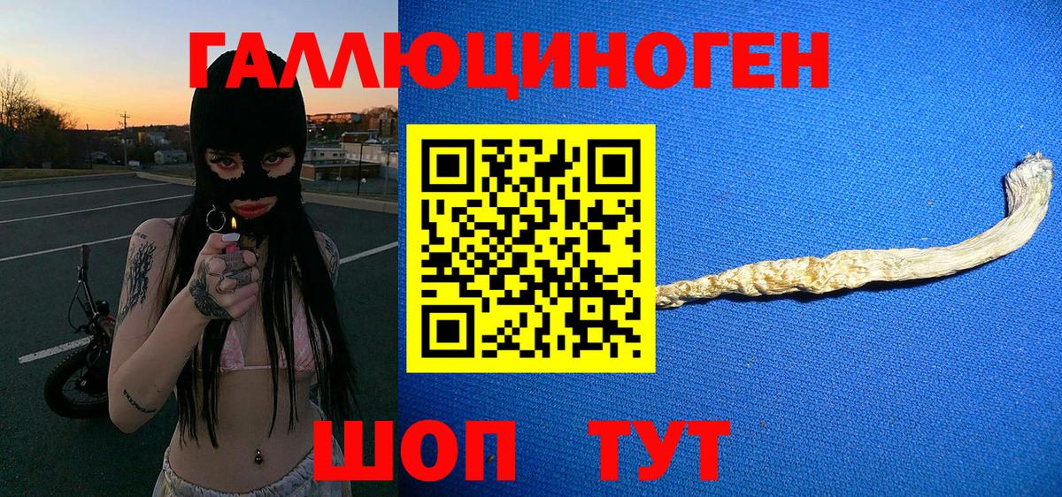 Псилоцибиновые грибы мицелий Новый Уренгой