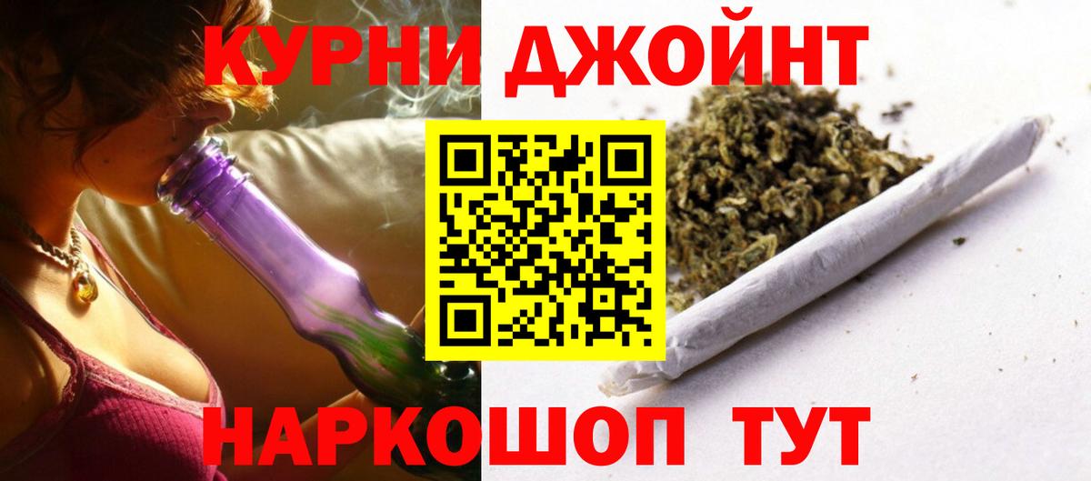 Конопля гибрид Новый Уренгой